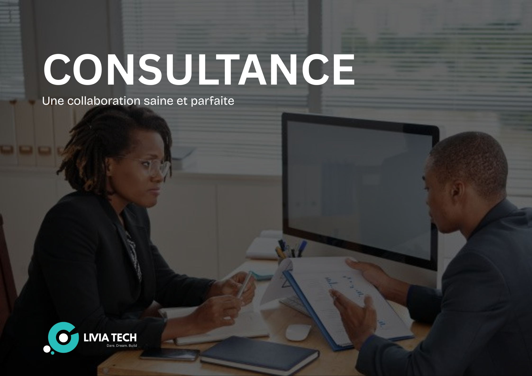Consulting Services